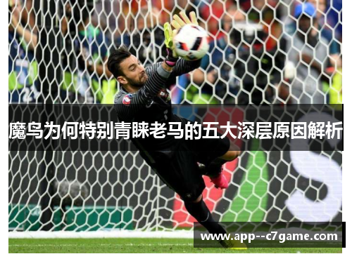 魔鸟为何特别青睐老马的五大深层原因解析 魔鸟为何特别青睐老马的五大深层原因解析