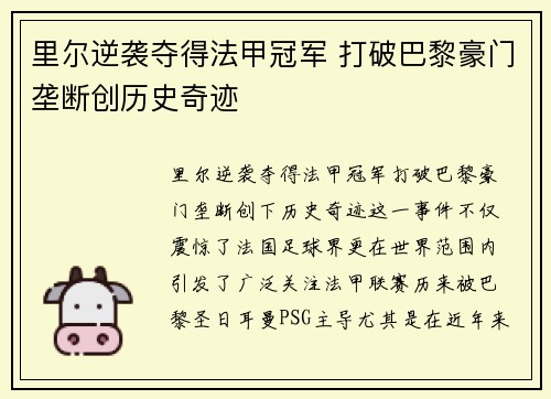 里尔逆袭夺得法甲冠军 打破巴黎豪门垄断创历史奇迹